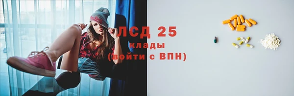 эйфоретик Баксан
