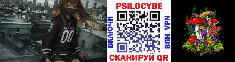 Галлюциногенные грибы Cubensis купить закладку Лесозаводск